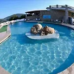 شقة Monolocale Arianna Con Giardino Privato E Piscina أولبيا