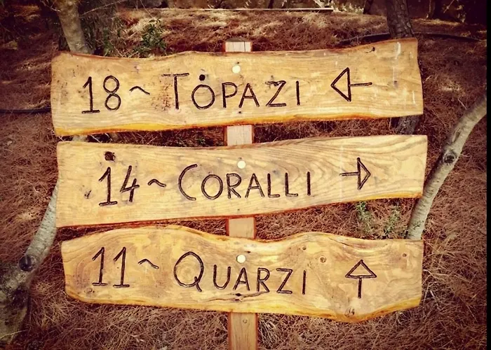 Monolocale Arianna Con Giardino Privato E Piscina Appartamento Olbia