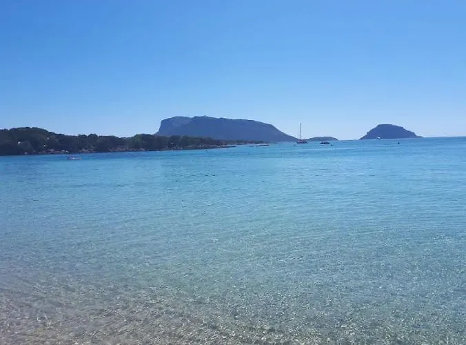 Monolocale Arianna Con Giardino Privato E Piscina *